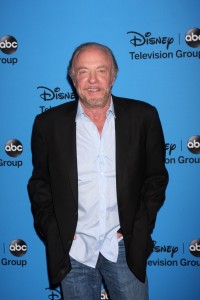 ABC TCA Summer 2013 Party