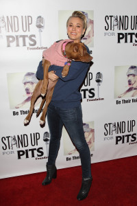 4th annual "Stand Up For The Pits" dog appreciation and adoption