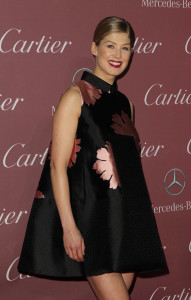 26th Annual Palm Springs International Film Festival Awards Gala Presented By Cartier