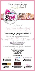 david angelo salon_wplg 95.5_new york gossip gal_breast cancer awareness month