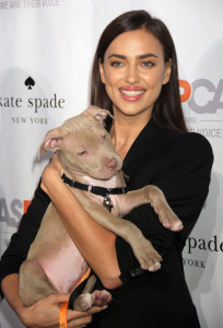 2015 ASPCA Young Friends benefit_IAC Building_new york gossip gal