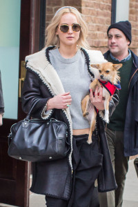 Jennifer Lawrence_dog Pippi_new york gossip gal